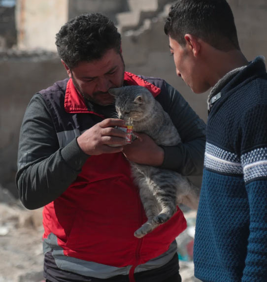 Syria, trzęscienie ziemi i ratunek zwierząt, 2023