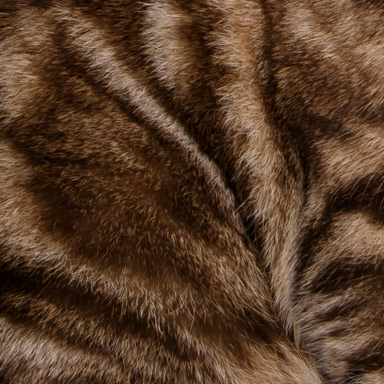 futro kota pręgowane, buro-brązowe