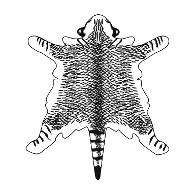 Rodzaj deseniu futra kota - wzór końcówkowy