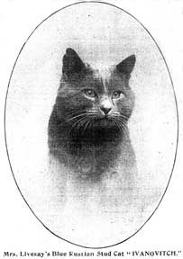 Kot Rosyjski - Ivanowicz syn Bayarda, historyczne zdjęcia pierwszych sfinksów
